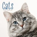 Cats Square Wall Calendar 2026