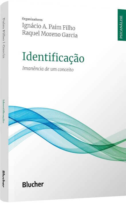 Identificação: Imanência De Um Conceito