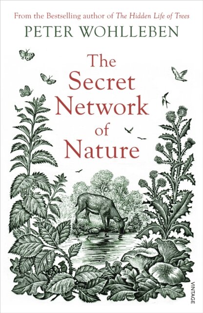 The Secret Network Of Nature