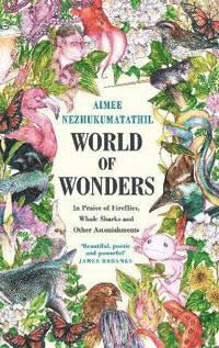 World Of Wonders