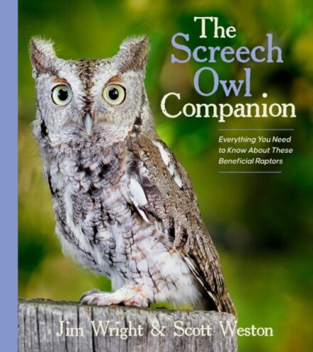 The Screech Owl Companion