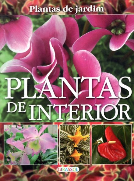Plantas de Interior
