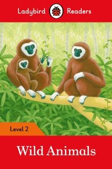 Wild Animals  Lbr L2