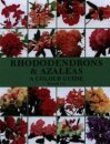 Rhododendrons and Azaleas - A Colour Guide