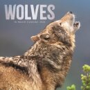 Wolves Square Wall Sunday Start Calendar