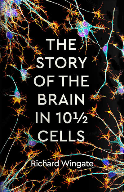 The Story Of The Brain In 10½ Cells