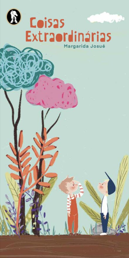 Coisas Extraordinárias