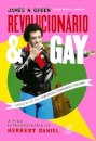 Revolucionário e gay: vida extraordinária de Herbert Daniel
