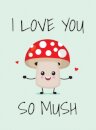 I Love You So Mush