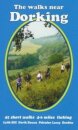 The Walks near Dorking