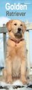 Golden Retriever Slim Calendar 2026  Dog Breed Slimline Calendar - 12 Month
