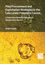 Flint Procurement and Exploitation Strategies in the Late Lower Paleolithic Levant