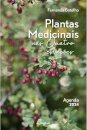 Plantas Medicinais nas Quatro Estações
