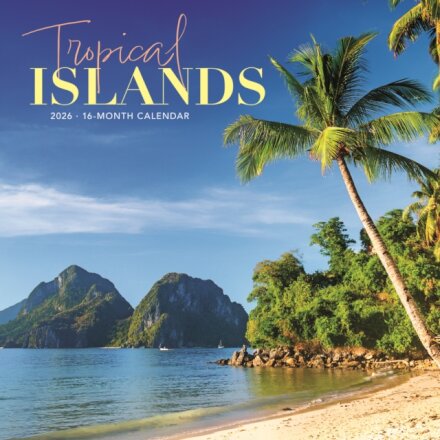 Tropical Islands Square Wall Sunday Star
