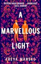 A Marvellous Light