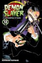 Demon Slayer V13