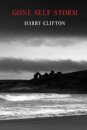 Gone Self Storm