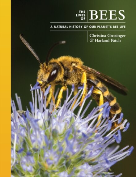 The Lives of Bees