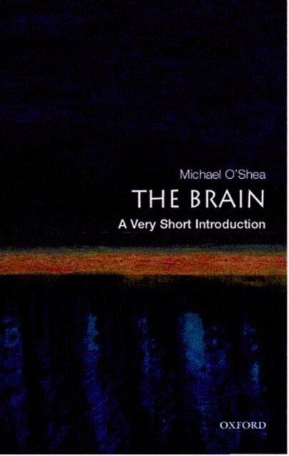 The Brain A Very Short Introduction