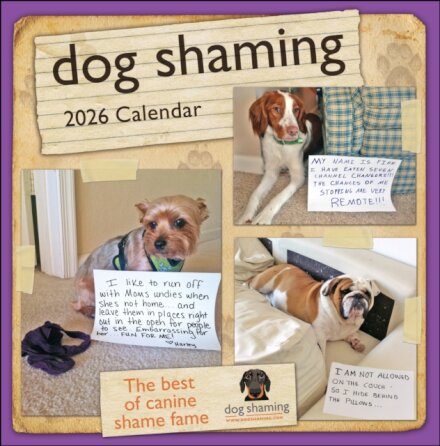 Dog Shaming 2026 Wall Calendar