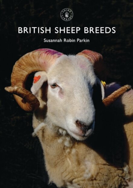 British Sheep Breeds