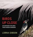 Birds Up Close