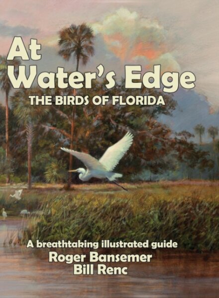 At Water's Edge