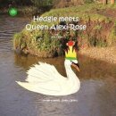 Hedgie Meets Queen Alexi-Rose