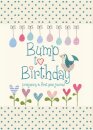 Bump to Birthday, Pregnancy & First Year Journal