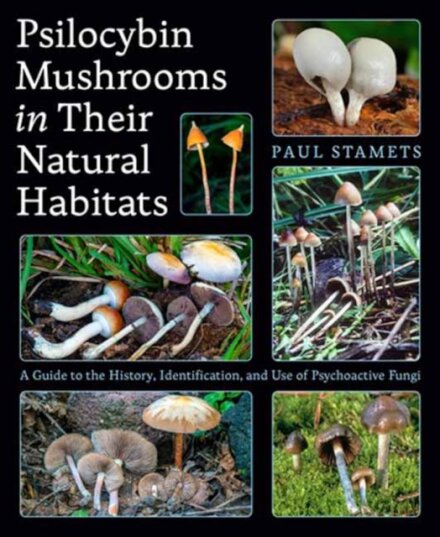 Psilocybin Mushrooms In Their Natural Habitats