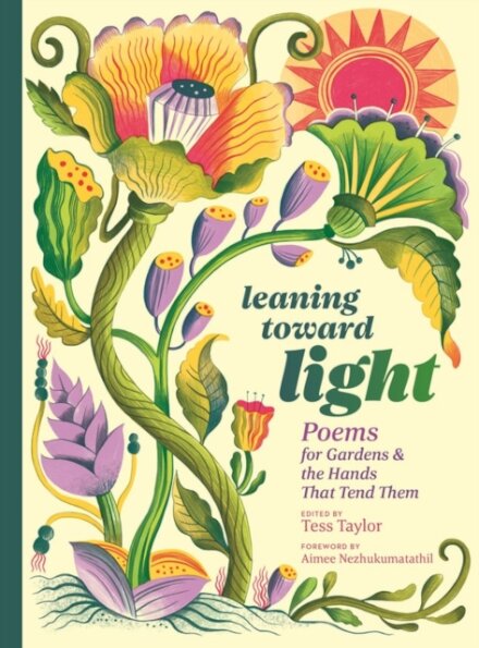Leaning toward Light