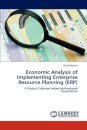Economic Analysis of Implementing Enterprise Resource Planning (ERP)