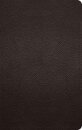 ESV Large Print Personal Size Bible, Red Letter