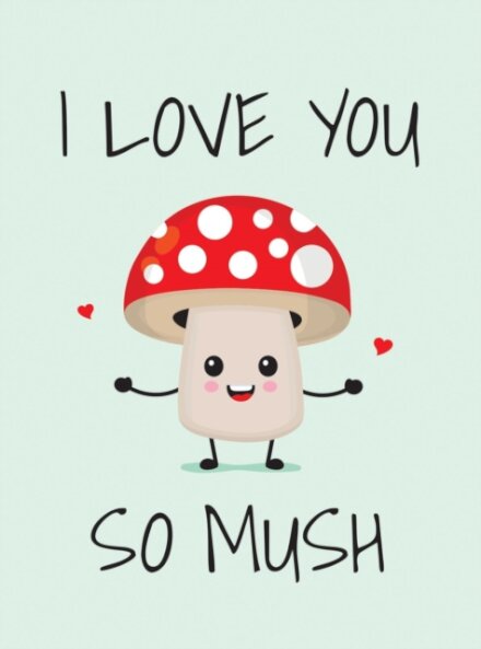 I Love You So Mush