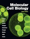Molecular cell biology
