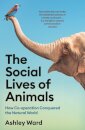 The Social Lives of Animals