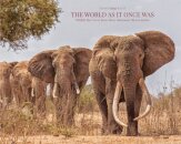 The World As It Once Was