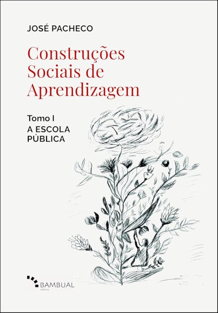 Construções Sociais De Aprendizagem V.1 A Escola Pública