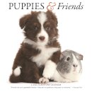 Puppies Friends Square Wall Sunday Start