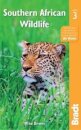 Southern African Wildlife