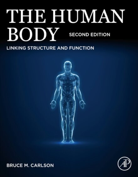 The Human Body