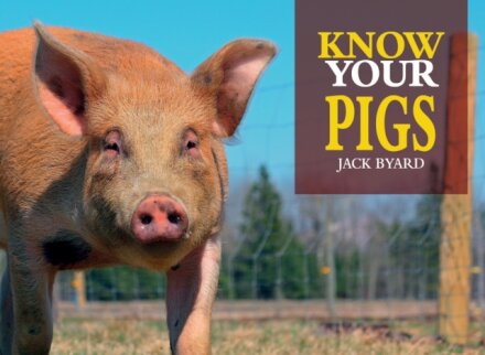 Know Your Pigs