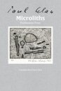 Little Stones Microliths They are