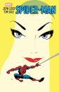 Jeph Loeb & Tim Sale: Spider-Man