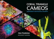 Coral Triangle Cameos
