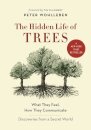 The Hidden Life Of Trees