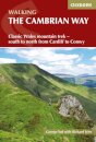The Cambrian Way