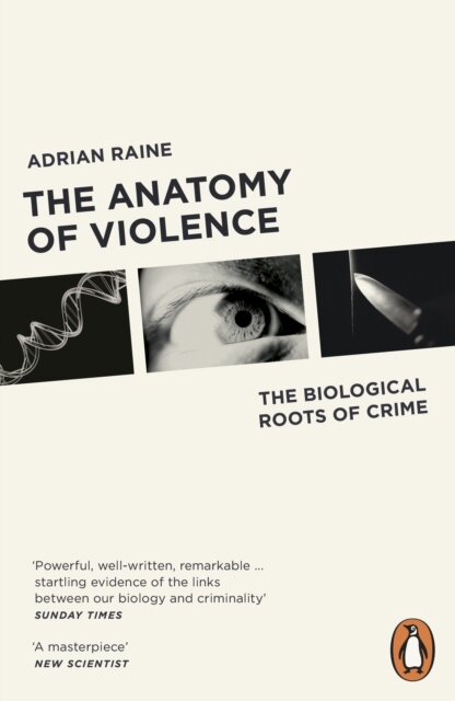 An Anatomy Of Violence