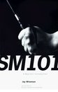 SM 101: A Realistic Introduction