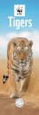 Wwf Tigers Slim Calendar 2026